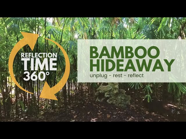 Unplug, Relax & Reflect: A Moment with God at the Bamboo Hideaway | 360 Experience