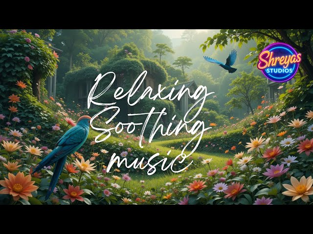 5-Minute Relaxing Music for a Sunny Morning soothing calm🌞 #video