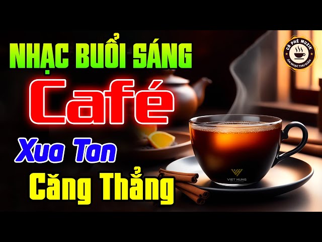 Nhạc Nhẹ Nhàng Giúp Thư Giãn Đầu Óc | Nhạc Chill Quán Cafe | Hoà Tấu Nhạc Rumba Hay Nhất 2024