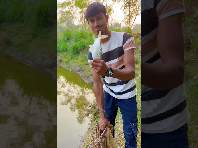 আজ কতগুলো মিরকে মাছ ধরলাম 🐟🙂(239) village fishing video || bangla fishing vlog ||