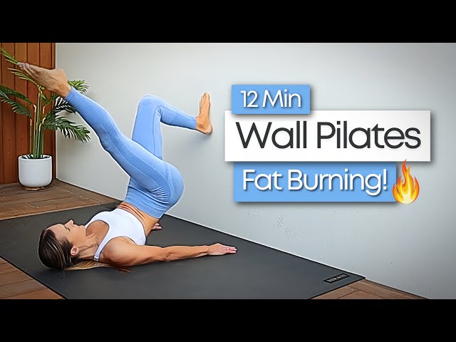 12 Min Full Body WALL PILATES Workout | Lose Fat!