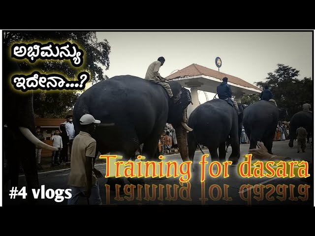 ಮೈಸೂರು ಜಂಬೂಸವಾರಿಗೆ ಆನೆಗಳಿಗೆ ತಾಲಿಮು || Training elephants for Dasara || Mysore...🥰.