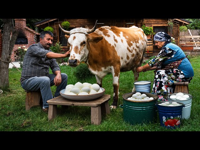 Fresh Adana Cheese from Cow's Milk: A Village Tradition 🐄🍃