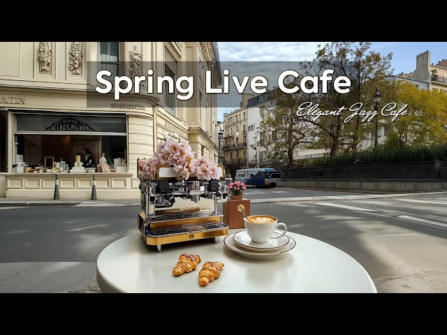 Spring Live Cafe ~ Immerse Peaceful Moment with Elegant Jazz Cafe Music for Delicate Unwind 🛎️☕