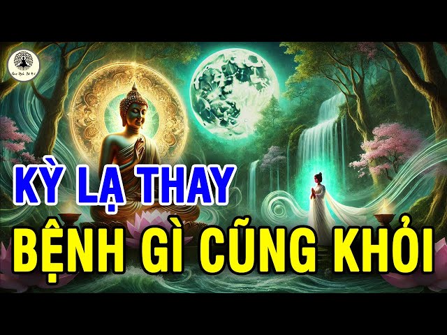 Phật Dạy Về Bệnh Tật Và Cách Chữa, Ai Đang CÓ BỆNH TRONG NGƯỜI, Hãy Nghe Bài Giảng Này