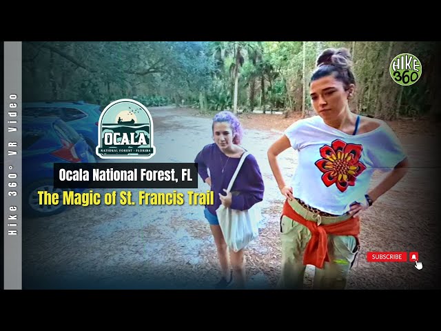 The Magic of St. Francis Trail, Ocala National Forest, FL  (Hike 360° VR Video)