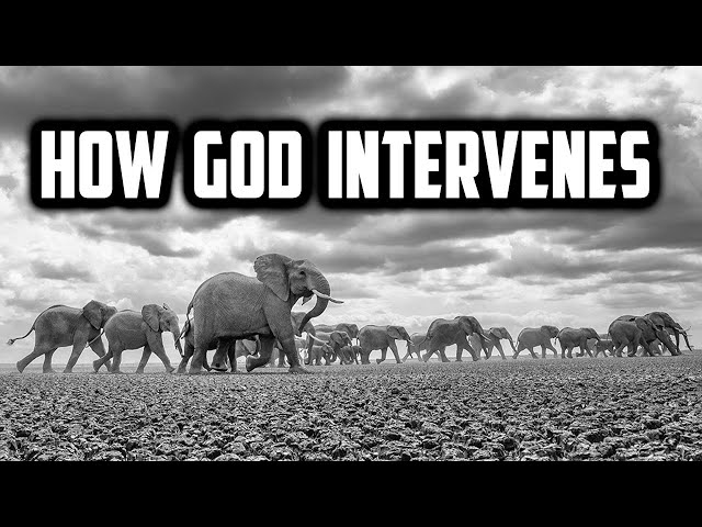 Surah Fil Illustrates How God Intervenes When Satan Attacks You | Sufi Meditation Center