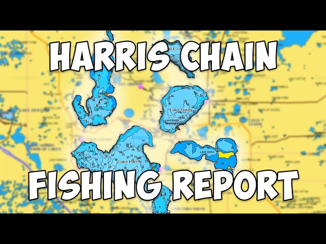 Harris Chain Fishing Report (December 2024)