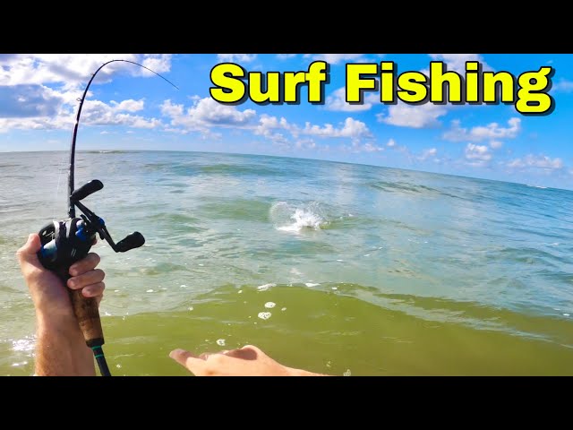 Surf Fishing Galveston Texas (Catch & Cook)