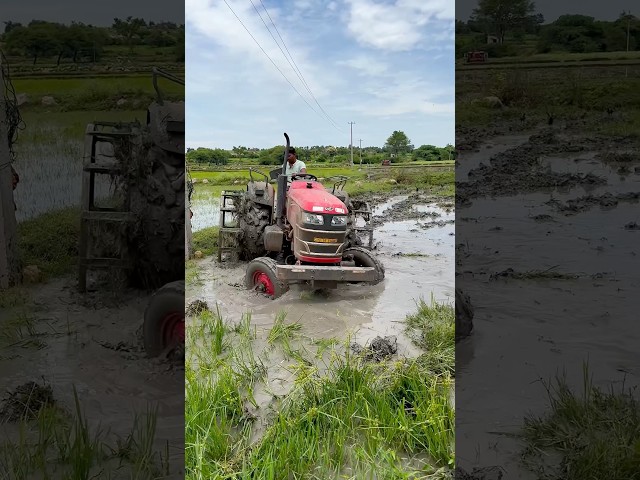 Mahindra tractor working in mud #shorts #trending #tractor