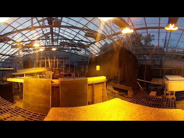 Propagation Bench: Overview for Training and Root Growth (360 video - drag and zoom)