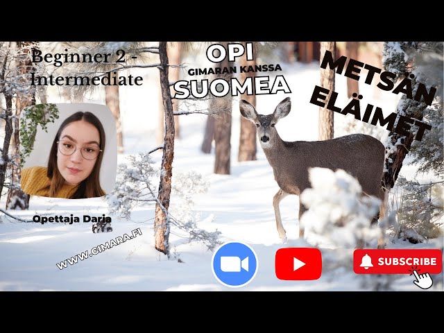 Opi suomea! Puhutaan metsäneläimistä! (Beginner 2 - Intermediate)