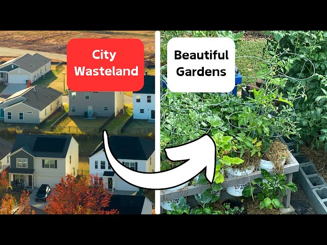 Crazy Tips for Urban Homesteading with Expert Mark Boyd