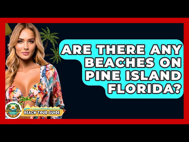 Are There Any Beaches On Pine Island Florida? - Beach Tour Guide