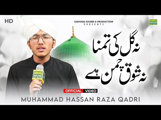 💞 Ye Dil Hubbe Aale Nabi Men Magan Hai | Na Gul Ki Tamnna Na Shoqe Chaman Hai - Muhammad Hasan Raza