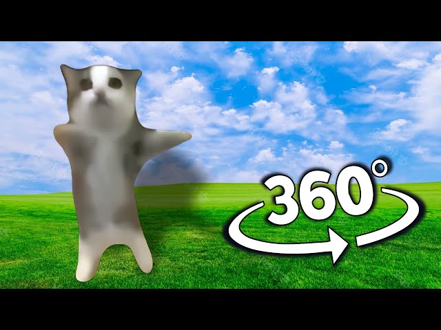 Happy Cat But It's 360 Degree Video #2