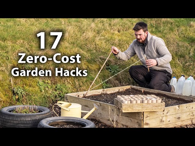 17 Brilliant FREE Vegetable Gardening Hacks | More Food for Less Effort