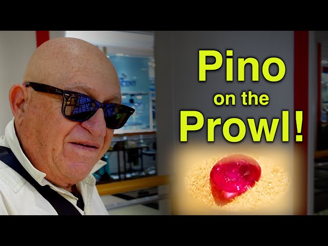 Pino On The Prowl (Episode 4)