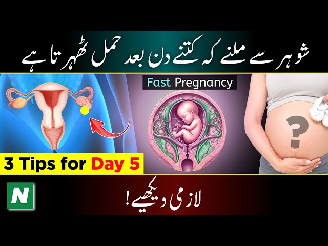 Pregnancy Test Kitne Din Bad kare 👈☑️ How Long Does it Take to Conceive ?