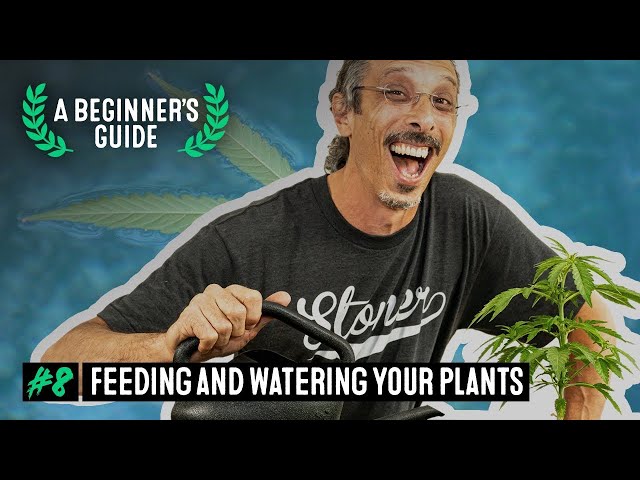 How to Feed and Water Cannabis Plants - A Beginner’s Guide with Kyle Kushman #8