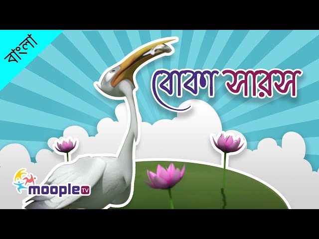 বোকা সারসের গল্প || ছোটদের নীতিকথার গল্প || পঞ্চতন্ত্রের গল্প| রুপকথার গল্প || মুপল টিভি বাংলা