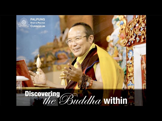 A Glimpse of Discovering The Buddha Within program [ English & Chinese Subtitles ]