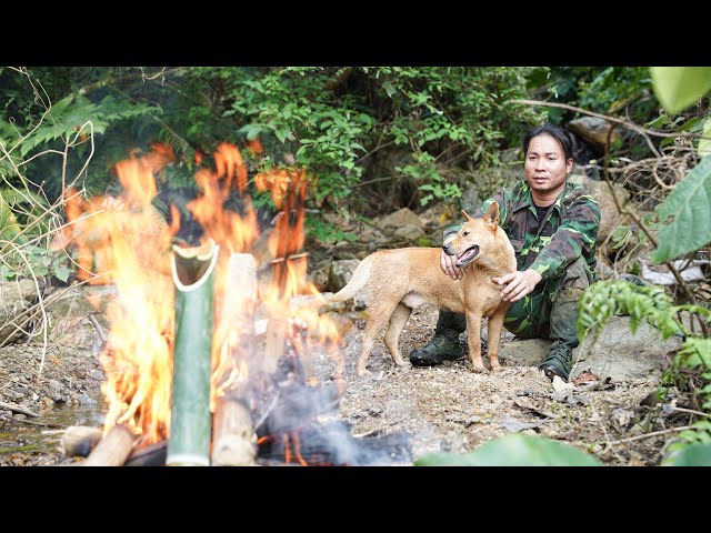 Foraging for Wild Food in the Forest, Animal Care: River Survival | EP.427