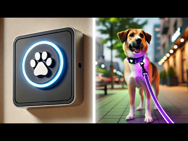 Top 29 Best Amazon DOG Must-Haves & Finds (2025 Discounts)