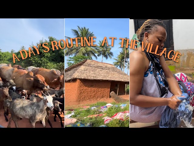 A DAY'S ROUTINE  AT OUR FAMILY FARM HOME | Vlog