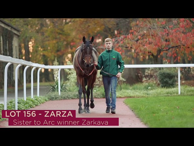 Aga Khan Stud at Arqana December