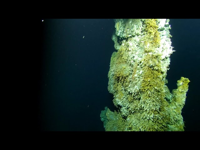 rov vr demo of deep sea hydrothermal vent located in Juan de fuca. Pacific North West.