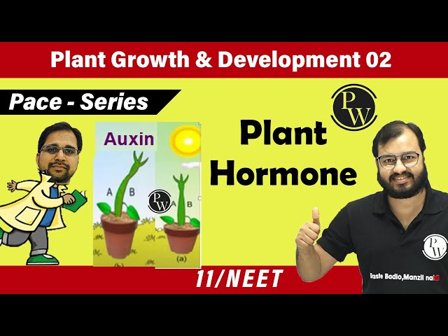 Plant Growth and Development 02 | Plant Hormones | Class 11 | NEET | Pace series