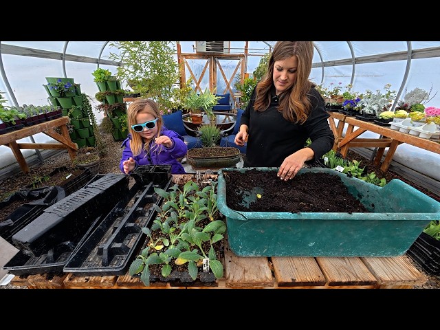 Fresh Snow, Seedling Pot Up & Baking EASY Crusty French Bread! ❄️🪴🥖 // Garden Answer