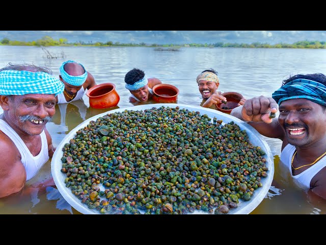 TINY SNAIL | Oomachi | Snail Hunting Cleaning Cooking and Eating in South Indian Village