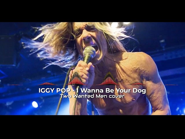 Iggy Pop & The Stooges - I Wanna Be Your Dog || Rock cover by Two Wanted Men