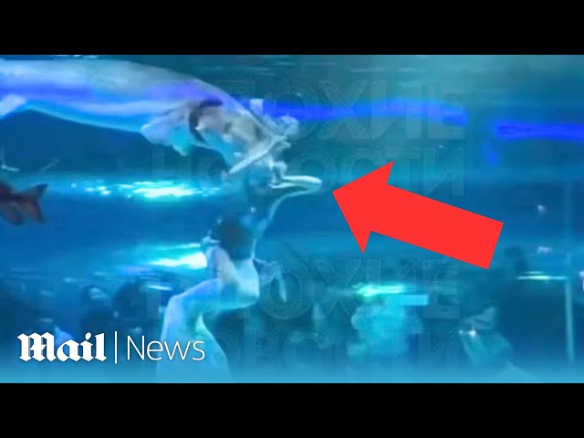 Harrowing moment giant fish attacks young 'mermaid' performer's face in front of terrified children