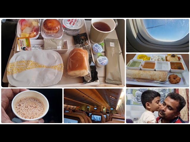 Day In My Life - Tirunelveli to Dubai - Emirates Flight | Travel Vlog | Jaffer Shadiq