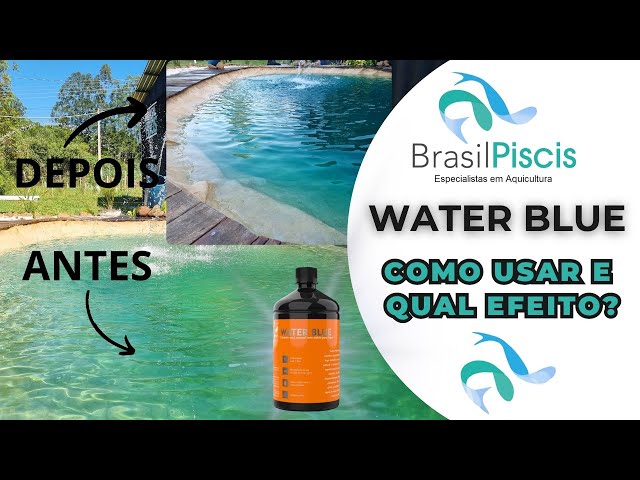 Como deixar a água do seu lago azul - Water Blue - video 51