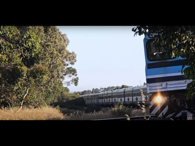 Pacific National CBH Pass Each Other #trainspotting #railfanning #trainspotter #indianrailways #rail