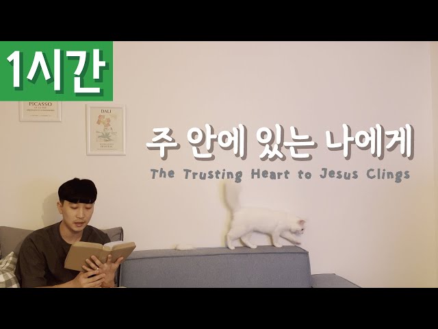 [1시간 반복재생] [찬송가 370장] 주 안에 있는 나에게 (The Trusting Heart to Jesus Clings)ㅣ호연하다