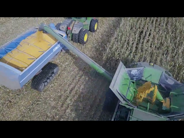 Tom Farms harvesting DeKalb Corn