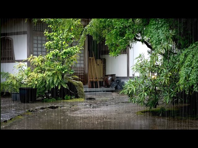 The Special Rain Sounds in a Cozy Country House - Relax with Rain while Bringing back Warm Memories