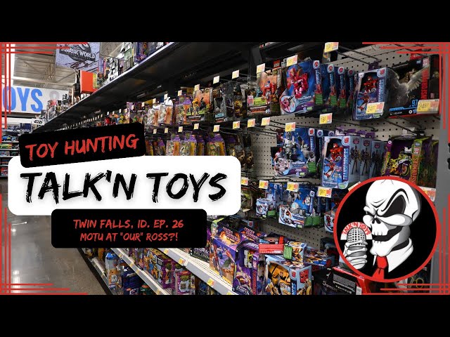 Toy Hunt: What's NEW at Target, Wal-Mart, and MOTU @ Ross?!