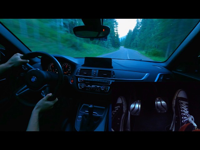 Manual BMW M2 Drive It Like You Stole It!