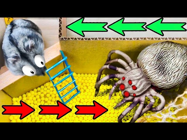 🐹Extreme Hamster Maze with Traps 😱[OBSTACLE COURSE]😱