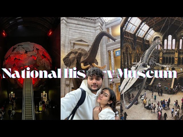 Inside the National History Museum | #london #nhm