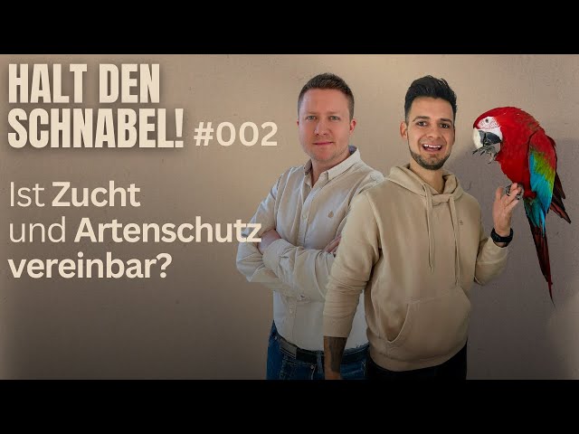 Können wir die Zucht und den Artenschutz von Papageien verbinden? - Halt den Schnabel! #2