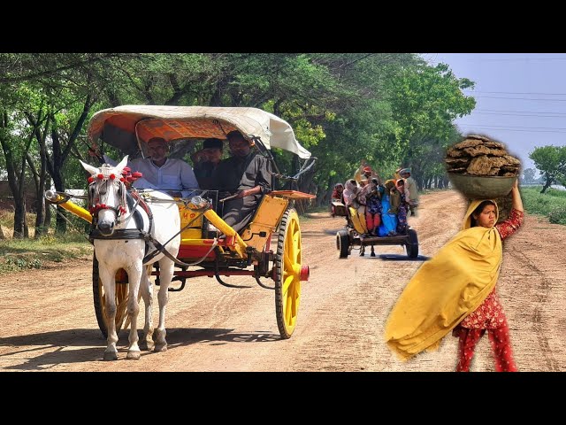 100 Year Old Culture Of Village Punjab Pakistan Near India Pakistan Border