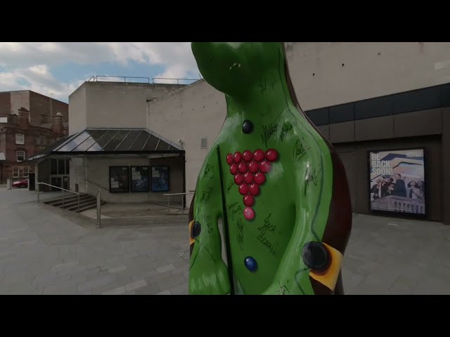 VR180° Crucible theatre bear, Sheffield