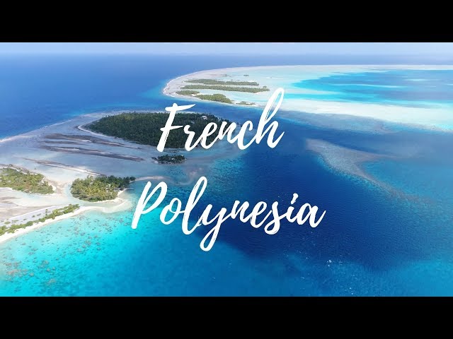 DIVING FRENCH POLYNESIA 2018 (4K)